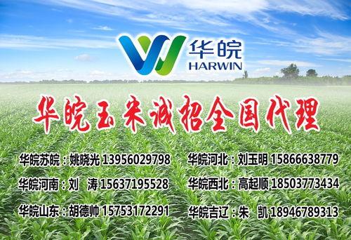 隆平高科最新爆料电话号,电话号码揭秘行业新动态 第2张 隆平高科最新爆料电话号,电话号码揭秘行业新动态 第2张
