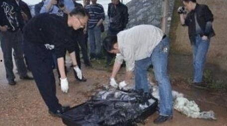 海丰小偷爆料案件最新进展,揭秘案情细节与警方调查动态 第1张 海丰小偷爆料案件最新进展,揭秘案情细节与警方调查动态 第1张